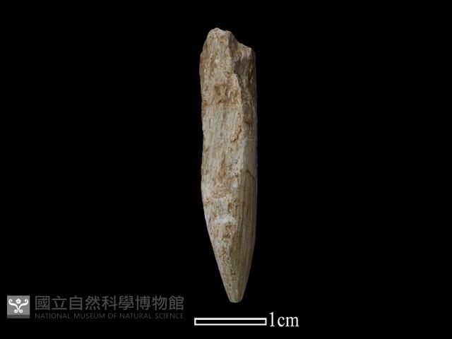 鑽頭藏品圖，第1張