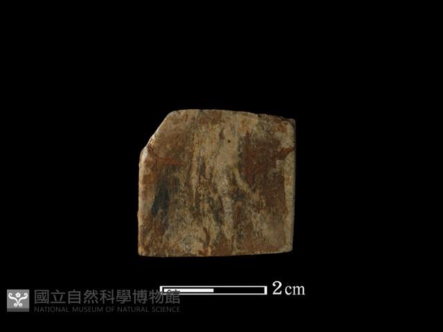 錛鑿形器藏品圖，第1張