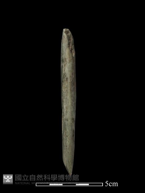 錛鑿形器藏品圖，第4張