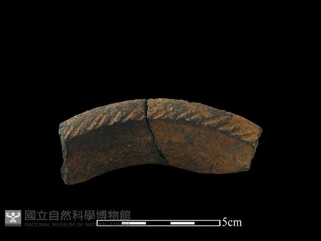 陶片藏品圖，第3張