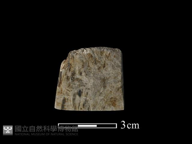 錛鑿形器藏品圖，第3張