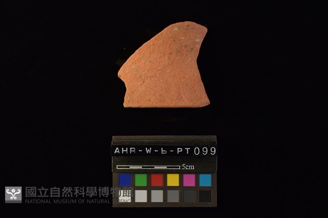 陶片藏品圖，第1張
