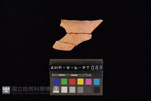 陶片藏品圖，第4張