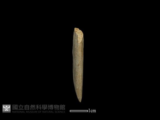 磨製石器藏品圖，第1張