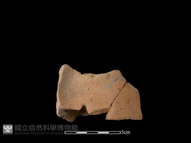 連杯形器藏品圖，第3張