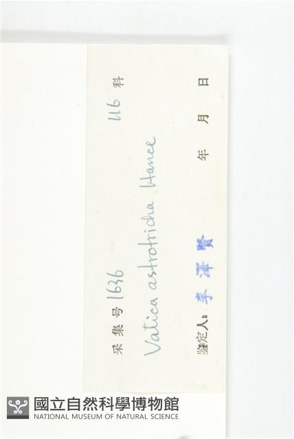 登錄號:G002061藏品圖，第2張