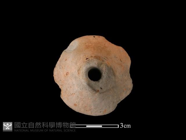 紡輪藏品圖，第3張