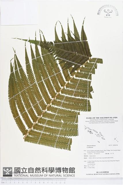 登錄號:BP00708藏品圖，第3張