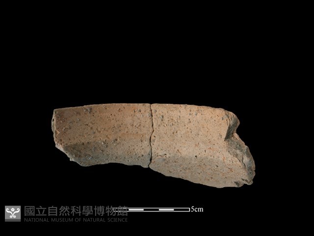 陶罐藏品圖，第3張