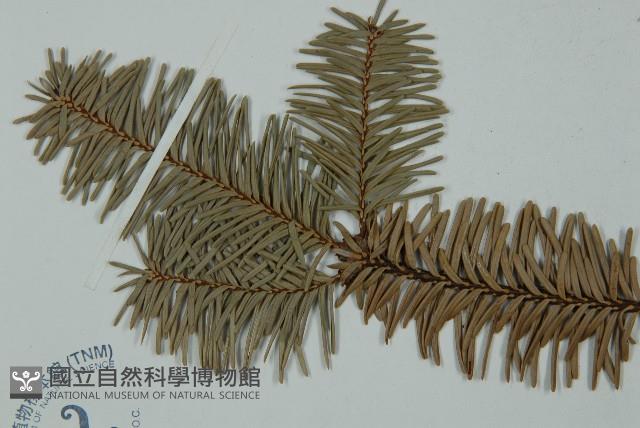 登錄號:G000356藏品圖，第3張