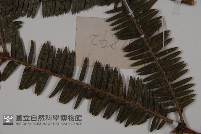 登錄號:G000292藏品圖，第3張