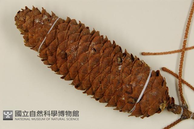 登錄號:G001062藏品圖，第3張