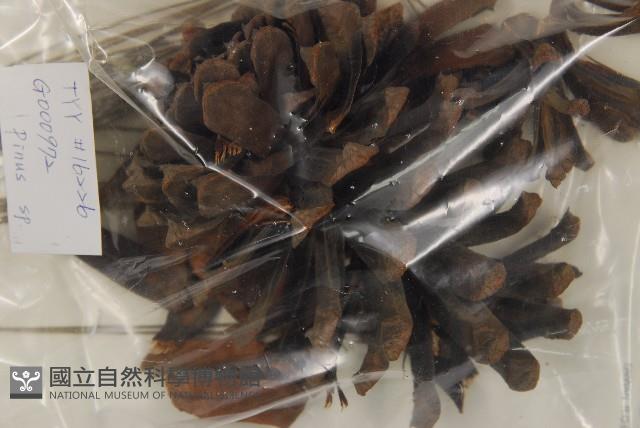 登錄號:G000972藏品圖，第3張