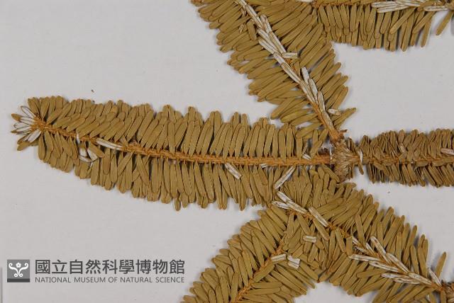 登錄號:G001111藏品圖，第3張