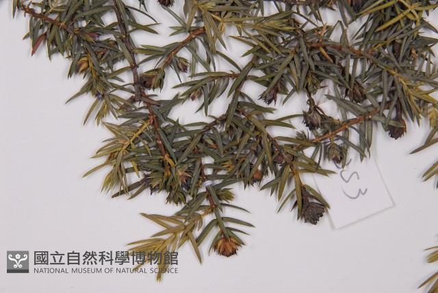 登錄號:G001119藏品圖，第3張