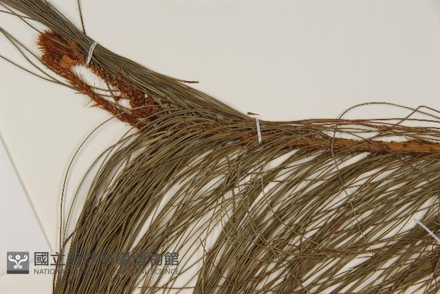 馬尾松藏品圖，第3張