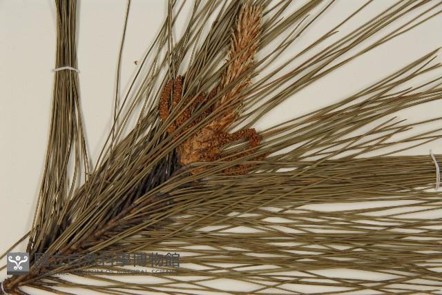 登錄號:G000158藏品圖，第3張