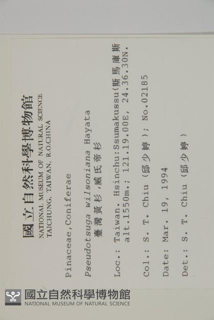 Taiesn douglas fir Collection Image, Figure 2, Total 5 Figures