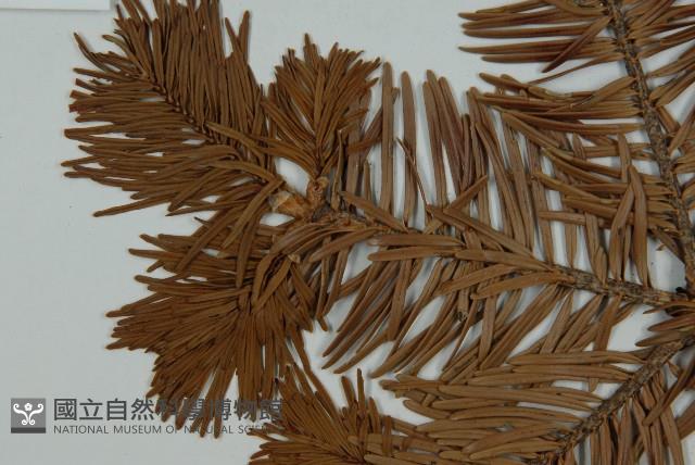 登錄號:G000357藏品圖，第3張