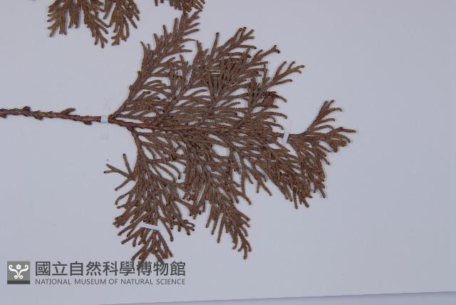 登錄號:G000317藏品圖，第3張