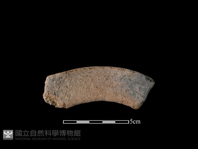 陶罐藏品圖，第2張