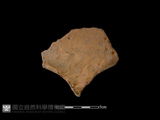 連杯形器藏品圖，第2張