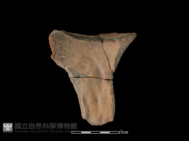 連杯形器藏品圖，第2張