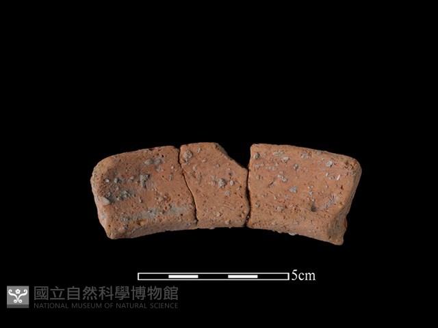 陶罐藏品圖，第2張