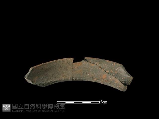 Accession Number:HL-LF78-2019-146 Collection Image, Figure 2, Total 2 Figures