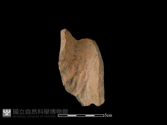 連杯形器藏品圖，第2張