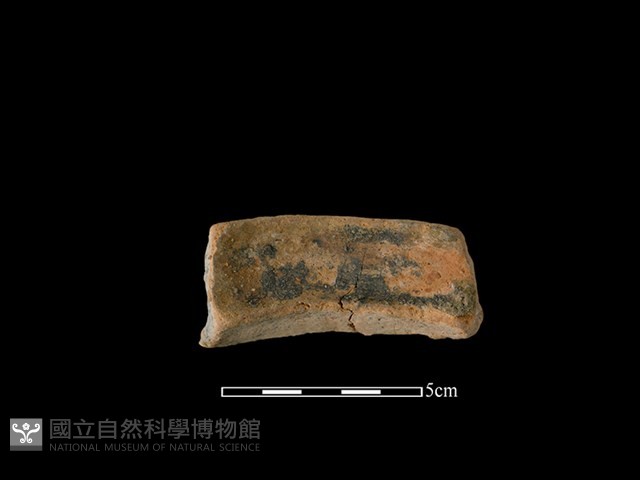 陶罐藏品圖，第2張