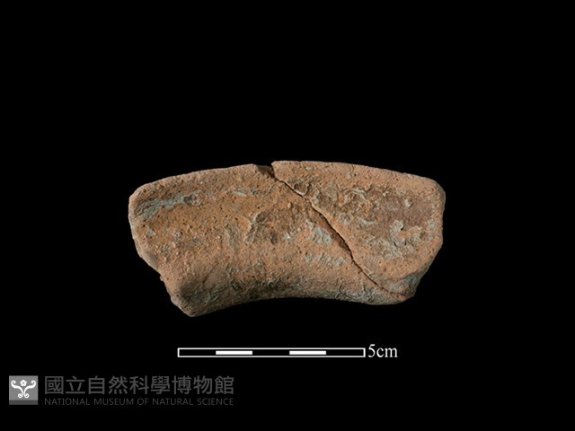 陶罐藏品圖，第2張