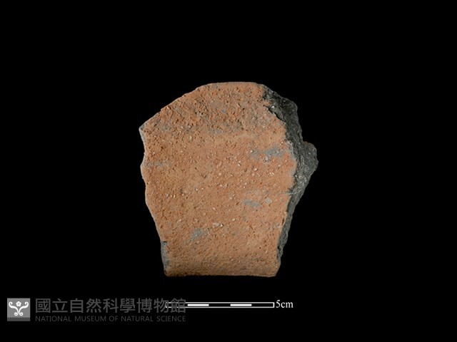 陶罐藏品圖，第2張