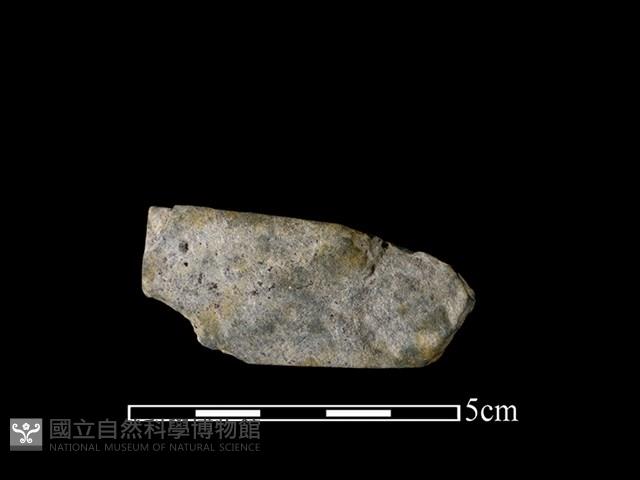 磨製有刃石器藏品圖，第2張