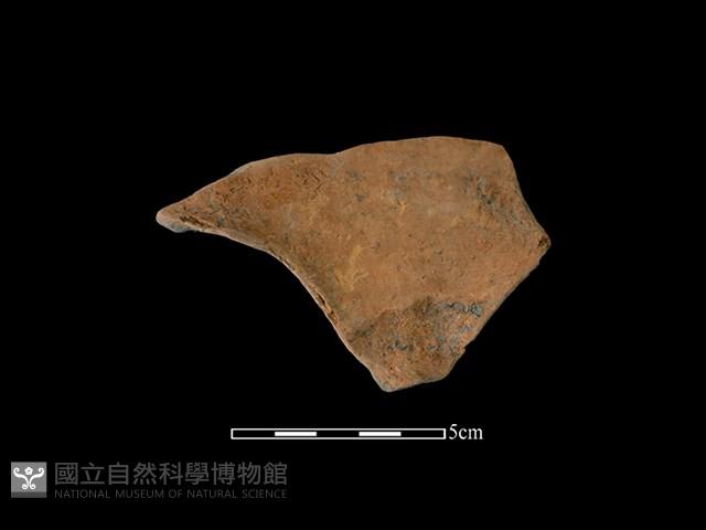 連杯形器藏品圖，第2張