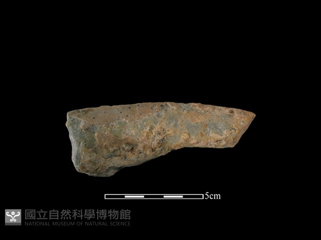 陶罐藏品圖，第2張