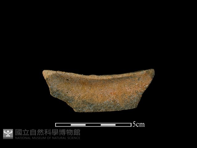 陶罐藏品圖，第2張