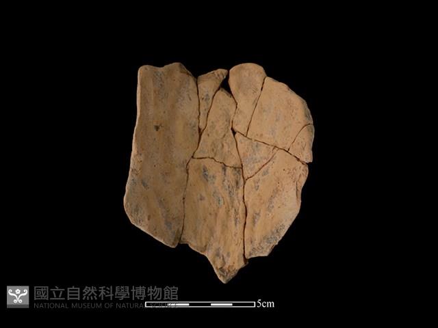 連杯形器藏品圖，第2張