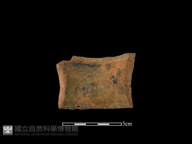 陶罐藏品圖，第2張