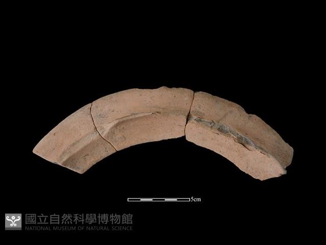 連杯形器藏品圖，第2張