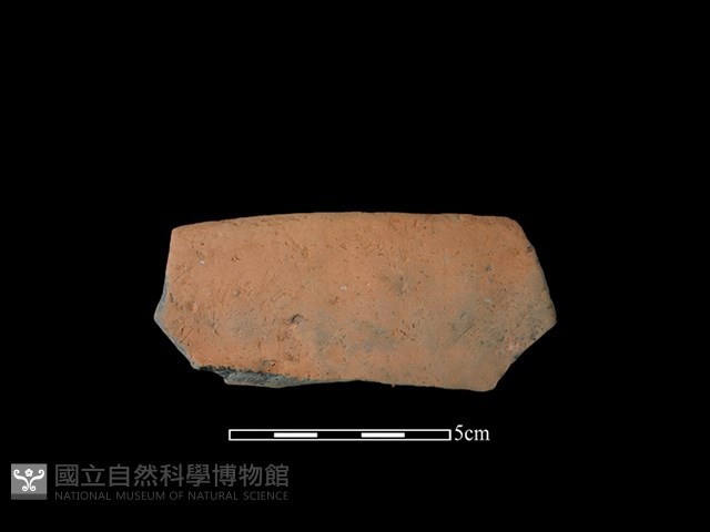 連杯形器藏品圖，第2張