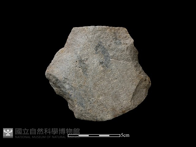 斧鋤形器藏品圖，第2張