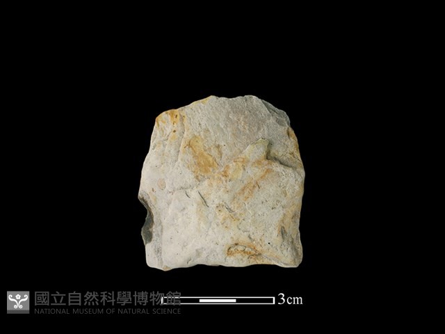 打製石器藏品圖，第2張