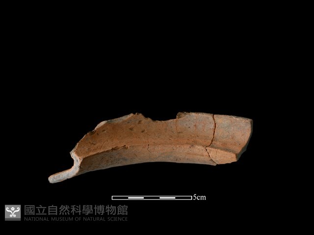 陶罐藏品圖，第2張