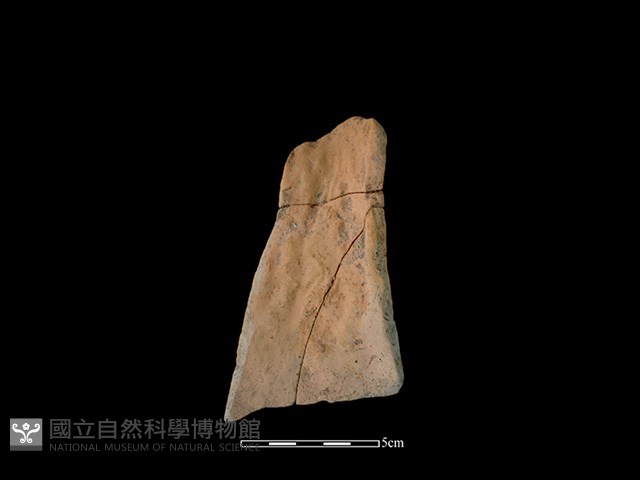 連杯形器藏品圖，第2張
