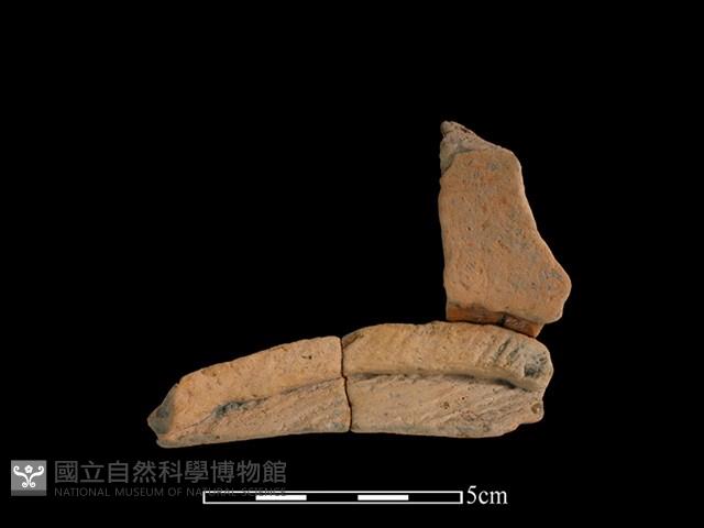 連杯形器藏品圖，第2張