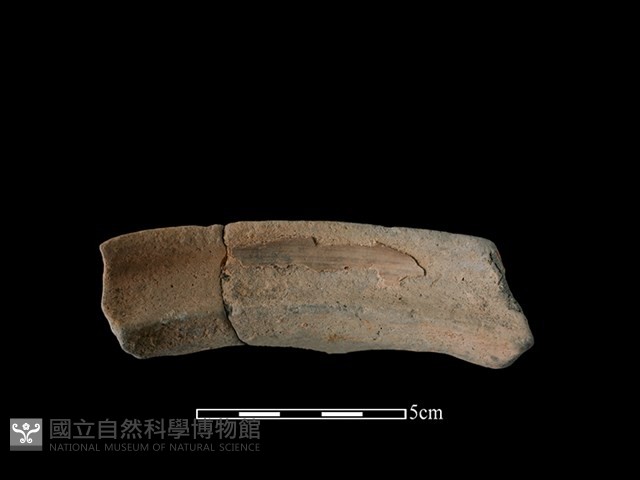 陶罐藏品圖，第2張