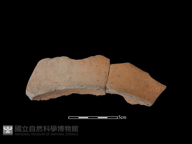 連杯形器藏品圖，第2張