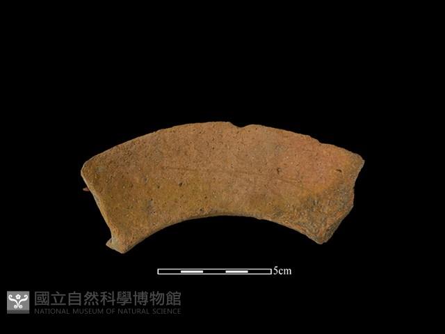 陶罐藏品圖，第2張