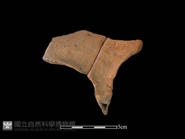 連杯形器藏品圖，第2張